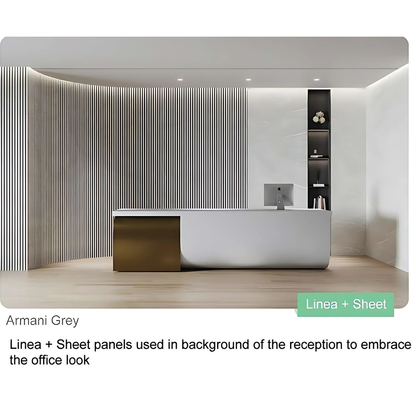 LINEA / LINEA DB / 150MM  X 3060MM / INTERNAL CEILINGS AND WALLS / EXTERNAL CEILINGS / PARE EASY+ / SOFFIT PANELS