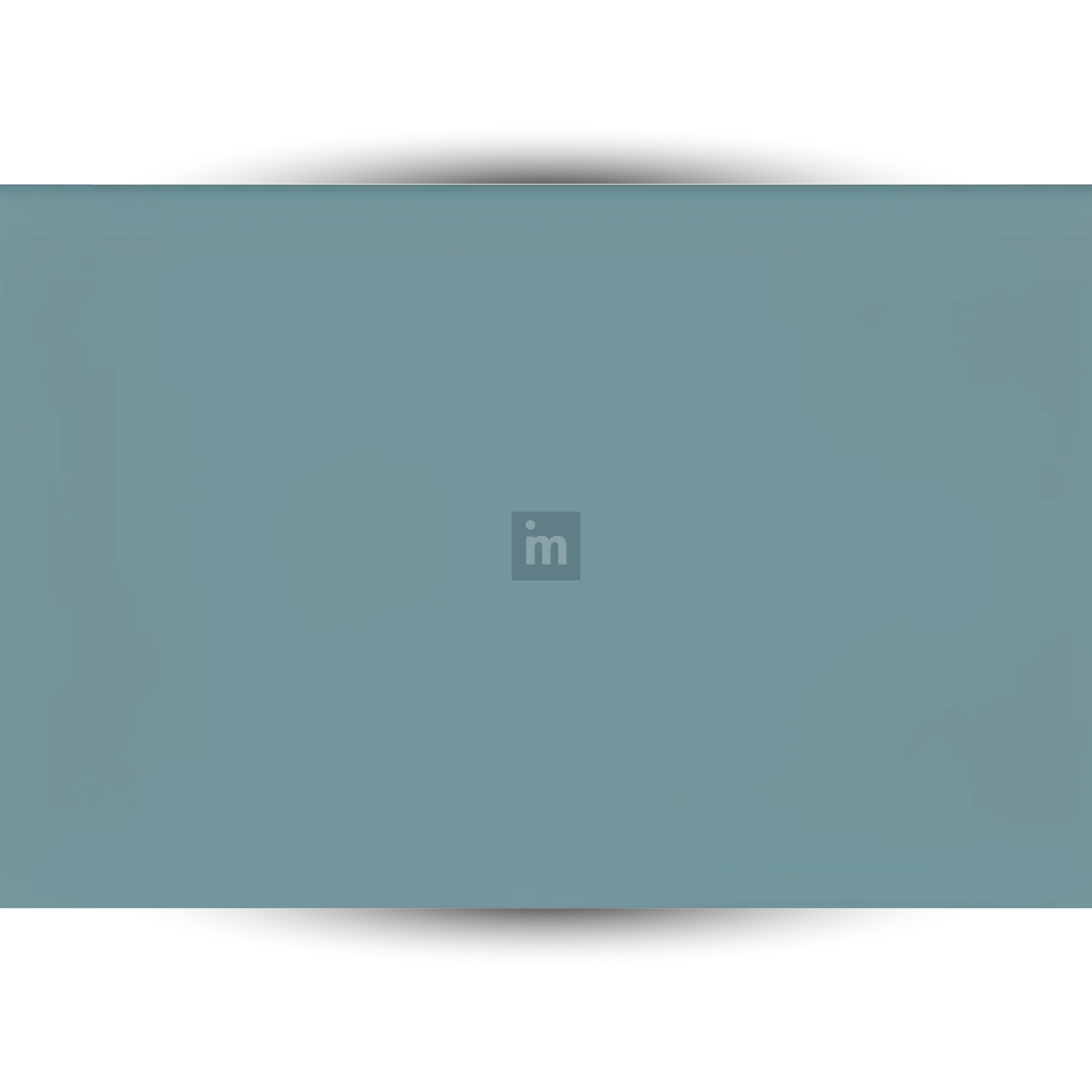 LINEA / LINEA DB / 150MM  X 3060MM / INTERNAL CEILINGS AND WALLS / EXTERNAL CEILINGS / PARE EASY+ / SOFFIT PANELS