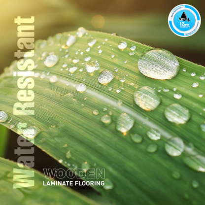 9105 - OATMEAL - AC5 1216MM X 168MM X 8MM - RESERVE COLLECTION - LAMINATE WOODEN  FLOORING